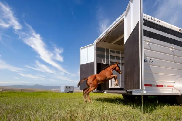 Trailer Service in Washington and Oregon areas